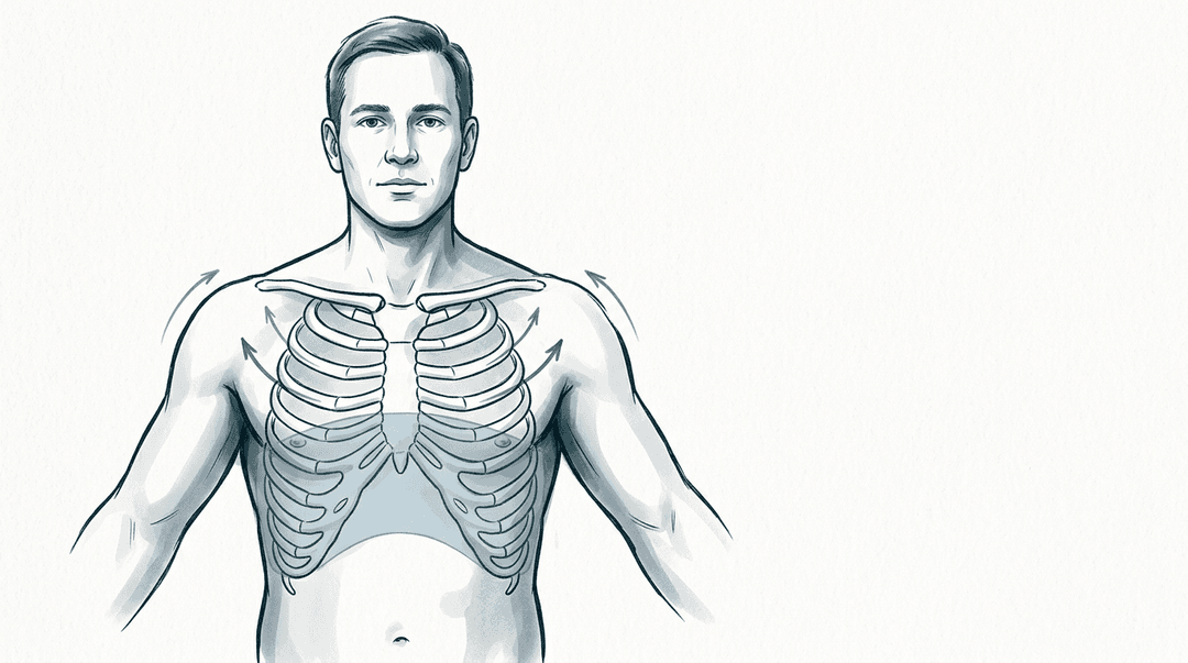 Illustrazione editoriale: riduzione espansione toracica, restrizione costale bilaterale coste 5–8 in inspirazione