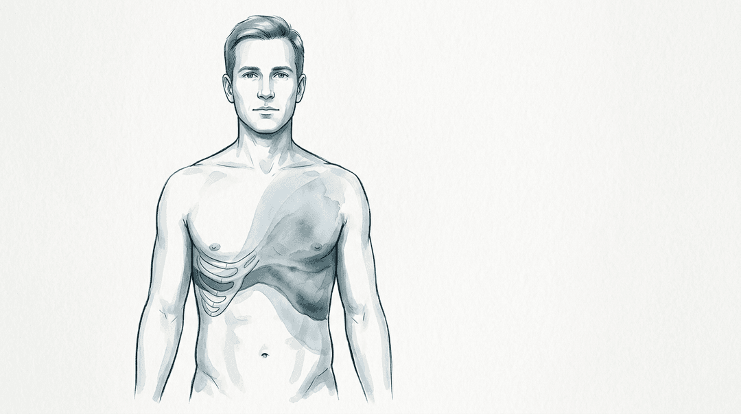 Illustrazione editoriale: dolore toracico anteriore irradiato, quinta costa sinistra e dermatomero T5