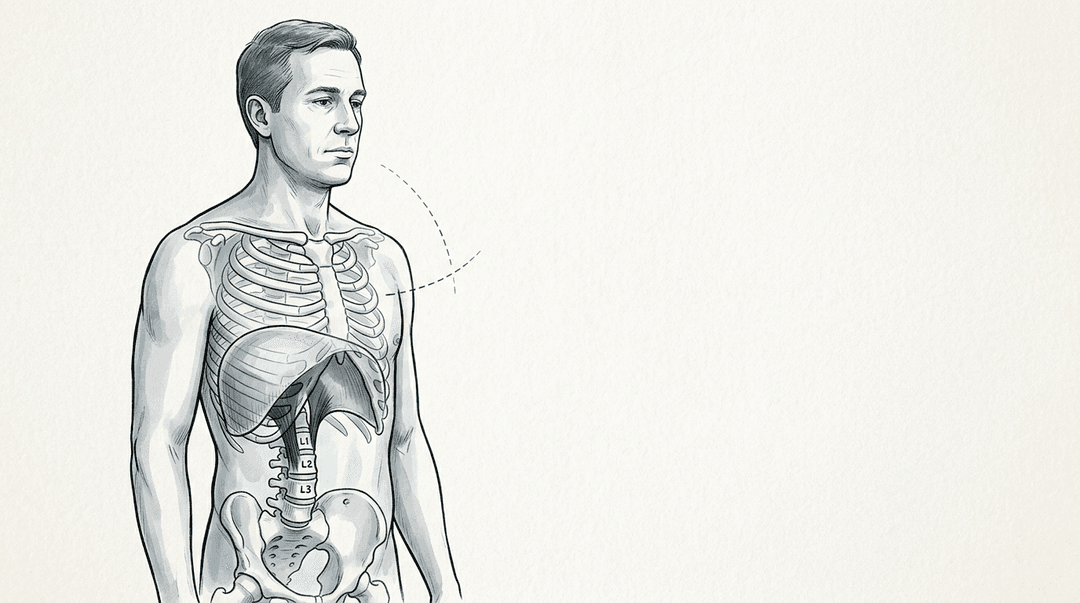 Illustrazione editoriale: lombalgia e alterazioni del diaframma