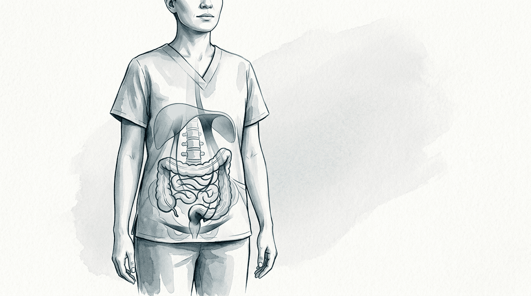Illustrazione editoriale: disfunzioni lombari e asse intestino-diaframma-pavimento pelvico
