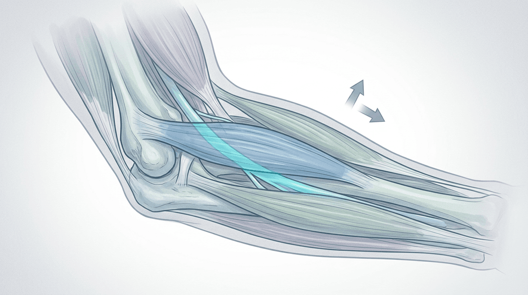 Illustrazione editoriale: sindrome del pronatore rotondo con compressione del mediano e disfunzione cervico-toracica