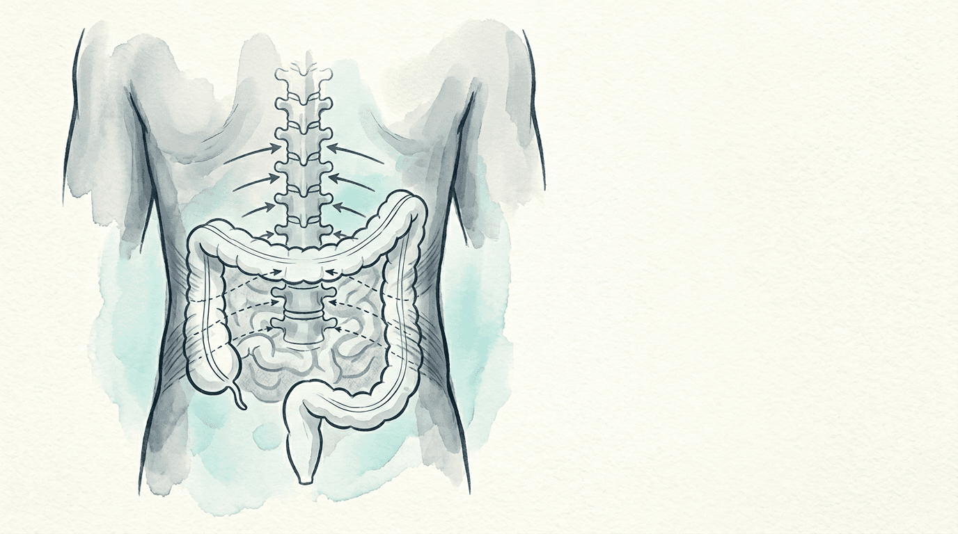 Illustrazione editoriale: IBS misto con lombalgia cronica e facilitazione segmentaria multilivello T10-L2