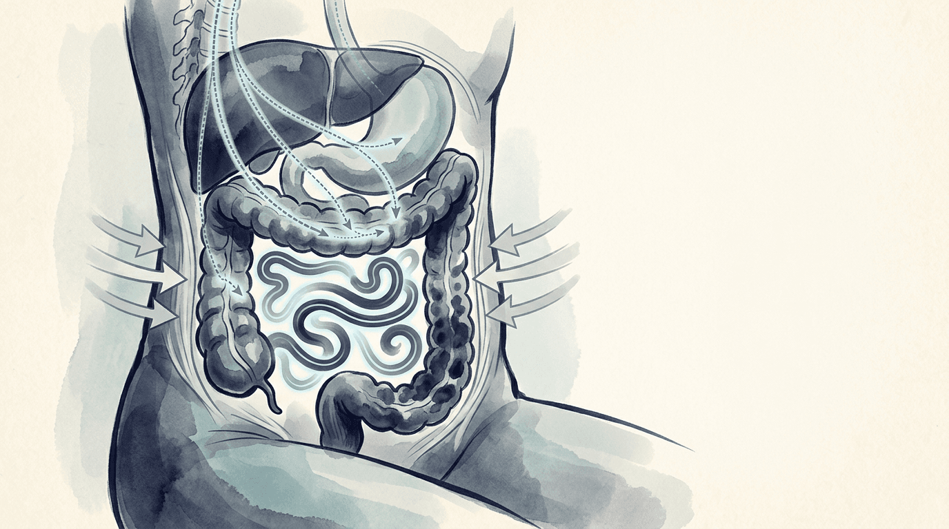 Illustrazione editoriale: stipsi da transito lento con ipoattivazione vagale e rigidità toraco-lombare bilaterale