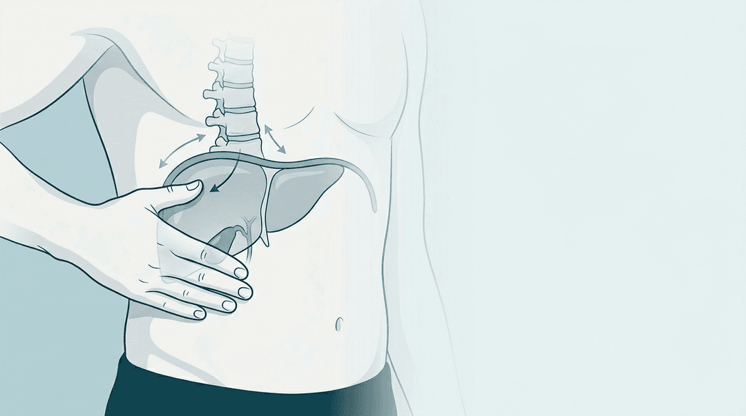 Illustrazione editoriale: dolore in ipocondrio destro con esclusione epatobiliare e pattern toraco-diaframmatico T7-T9