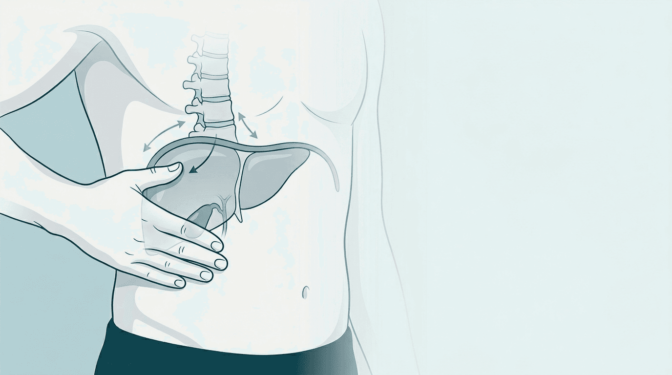 Illustrazione editoriale: dolore in ipocondrio destro con esclusione epatobiliare e pattern toraco-diaframmatico T7-T9