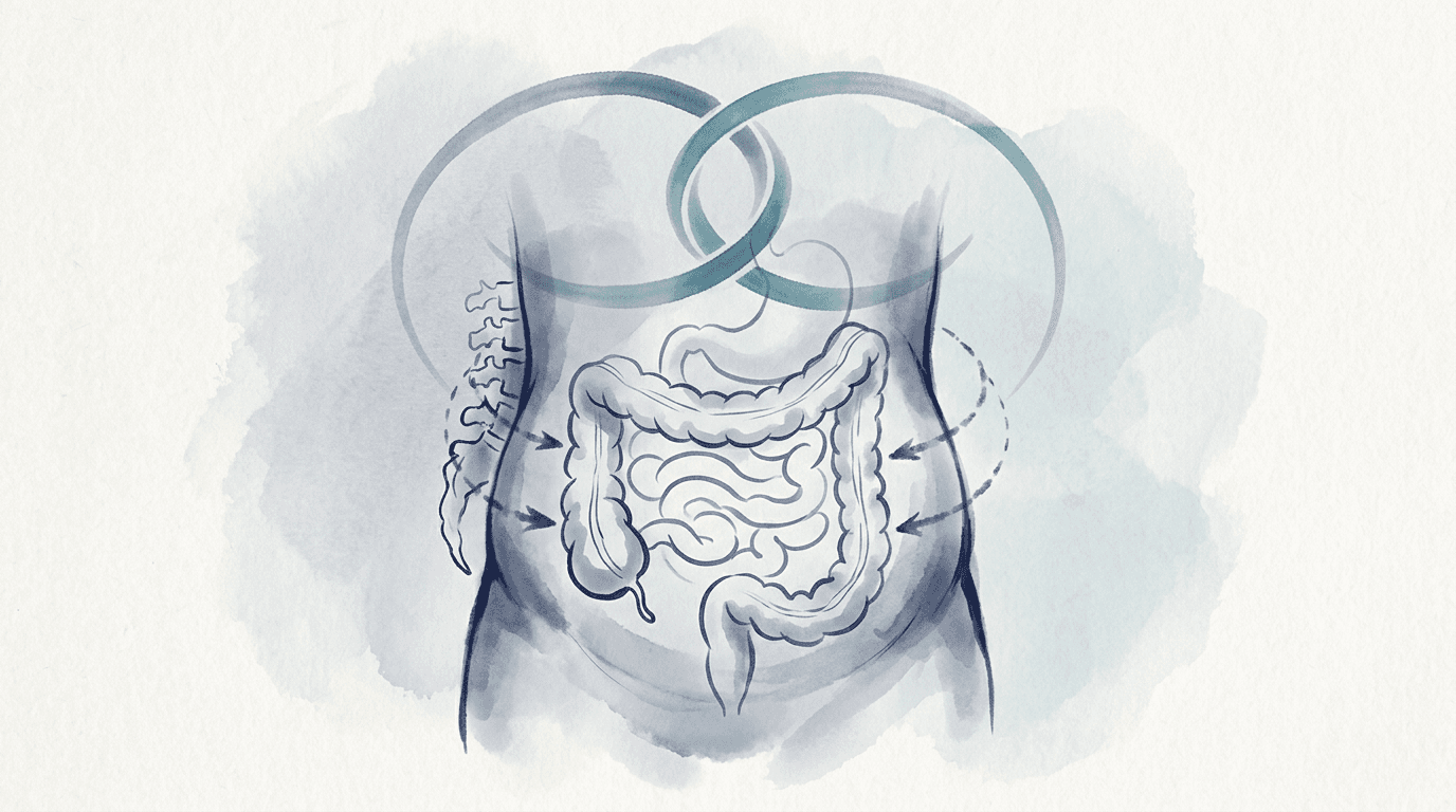 Illustrazione editoriale: intestino irritabile con dolore addominale, gonfiore cronico, lombalgia riflessa e coordinamento multidisciplinare