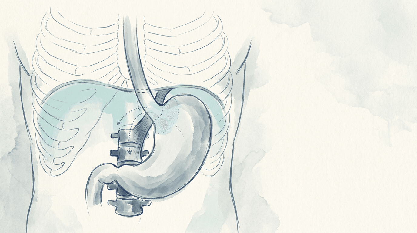 Illustrazione editoriale: gastrite cronica Helicobacter-negativa con rigidità del pilastro diaframmatico sinistro e facilitazione T5-T6
