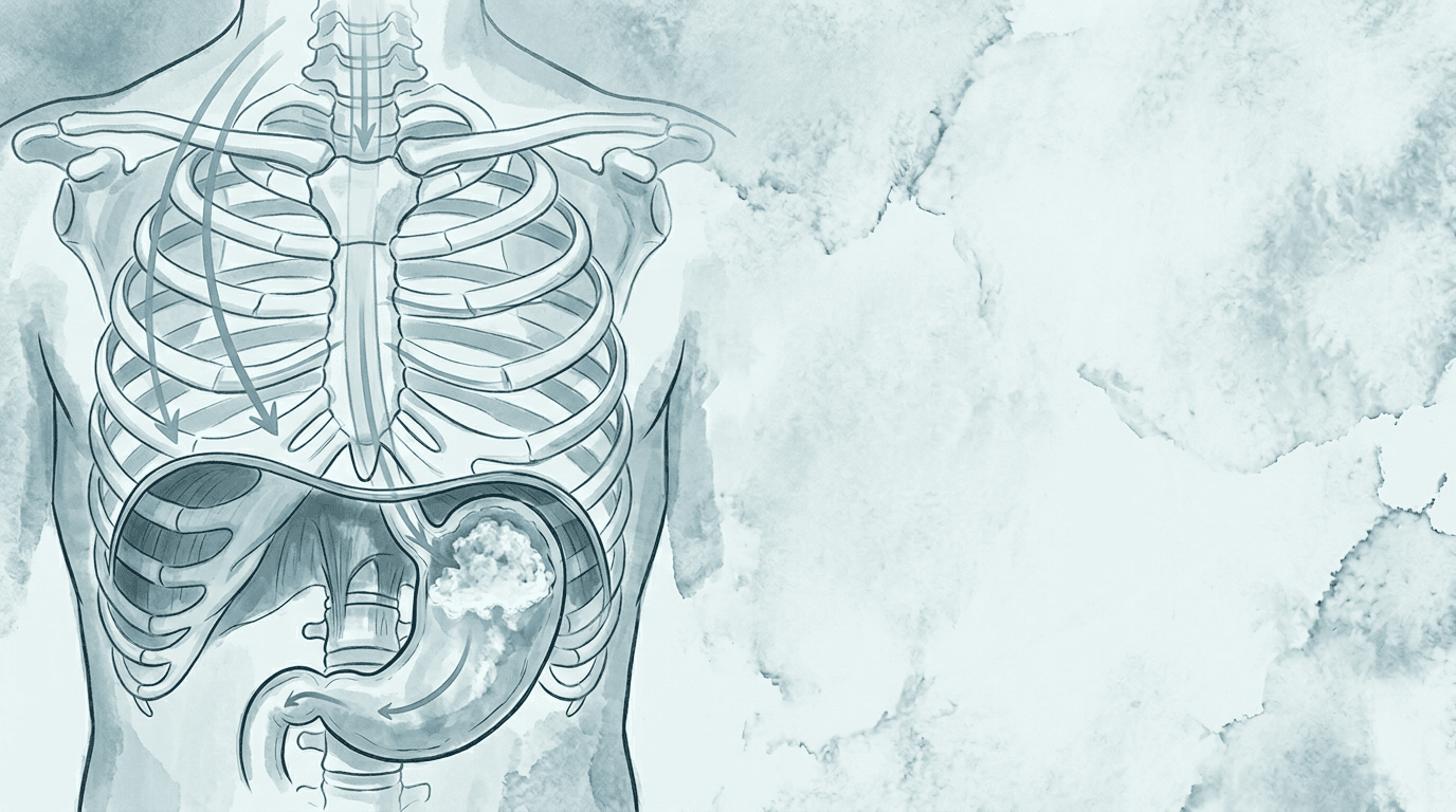 Illustrazione editoriale: eruttazione eccessiva con aerofagia e disfunzione cervico-toracica e sterno-costale